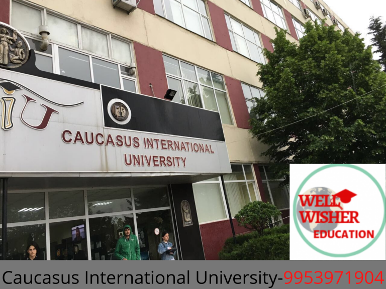 Caucasus International University Georgia